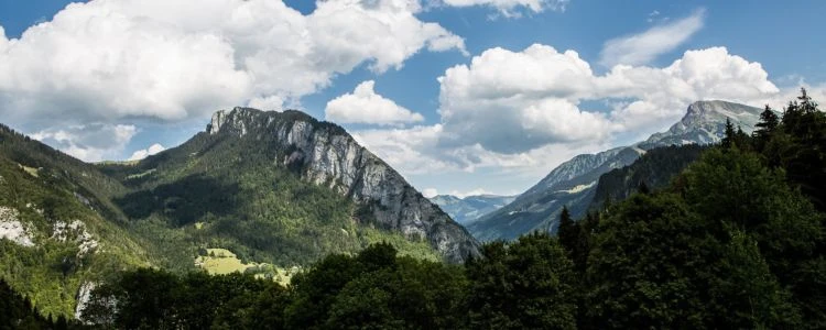paysage été abondances portes du soleil