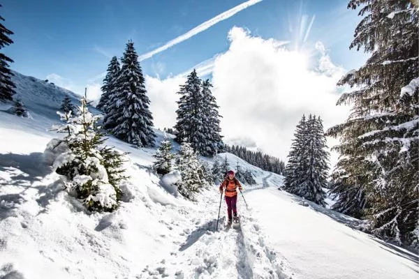 chatel location au mois