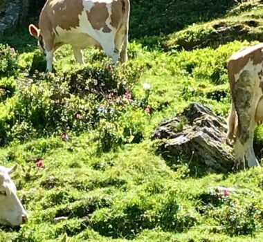 nendaz-en-ete