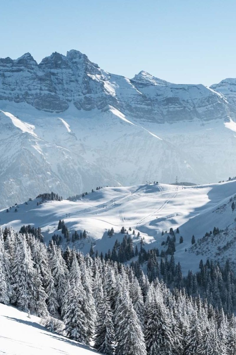 Benefits-Chatel-french-alps-3