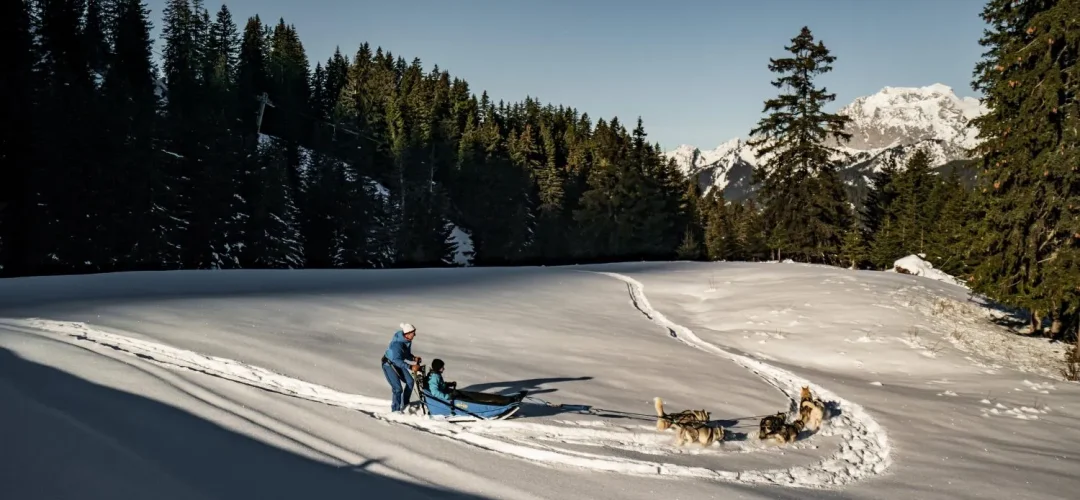 Initiation aux chiens de traîneau à Châtel