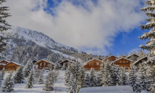 location logement ski