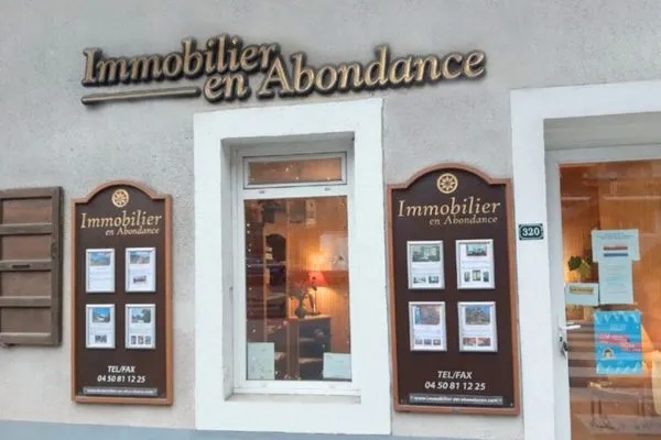 agence immobilière abondance en france