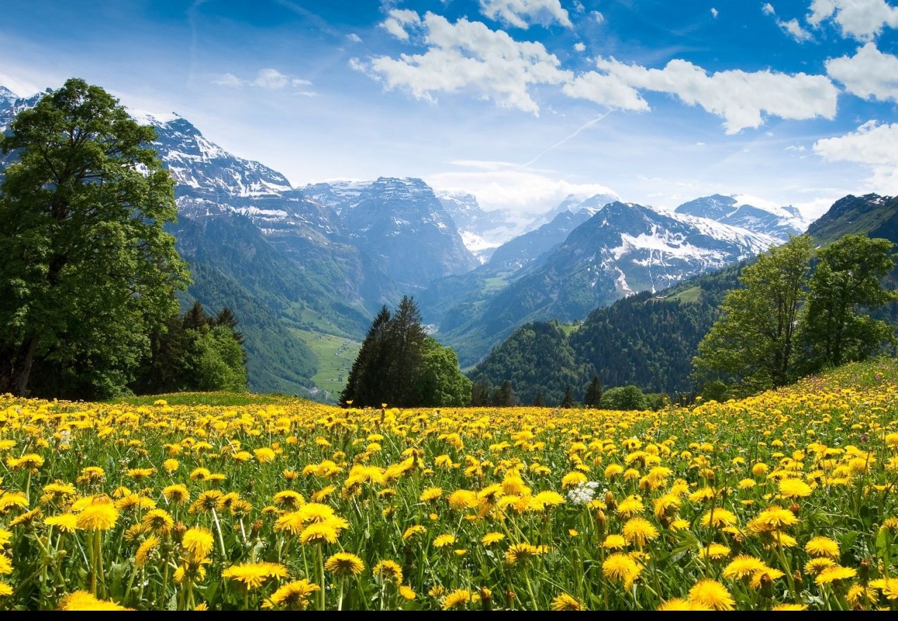 Ferienwohnung in Termignon - Balcons G 045 - PARC NAT. VANOISE appart. 8 pers.