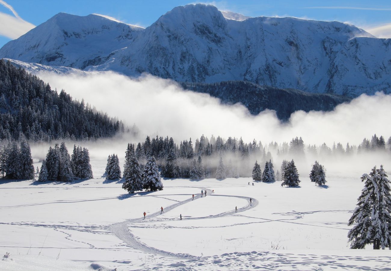 Ferienwohnung in Chamrousse - Chartreuse 1 036-FAMILLE & MONTAGNE appart. 6 pers