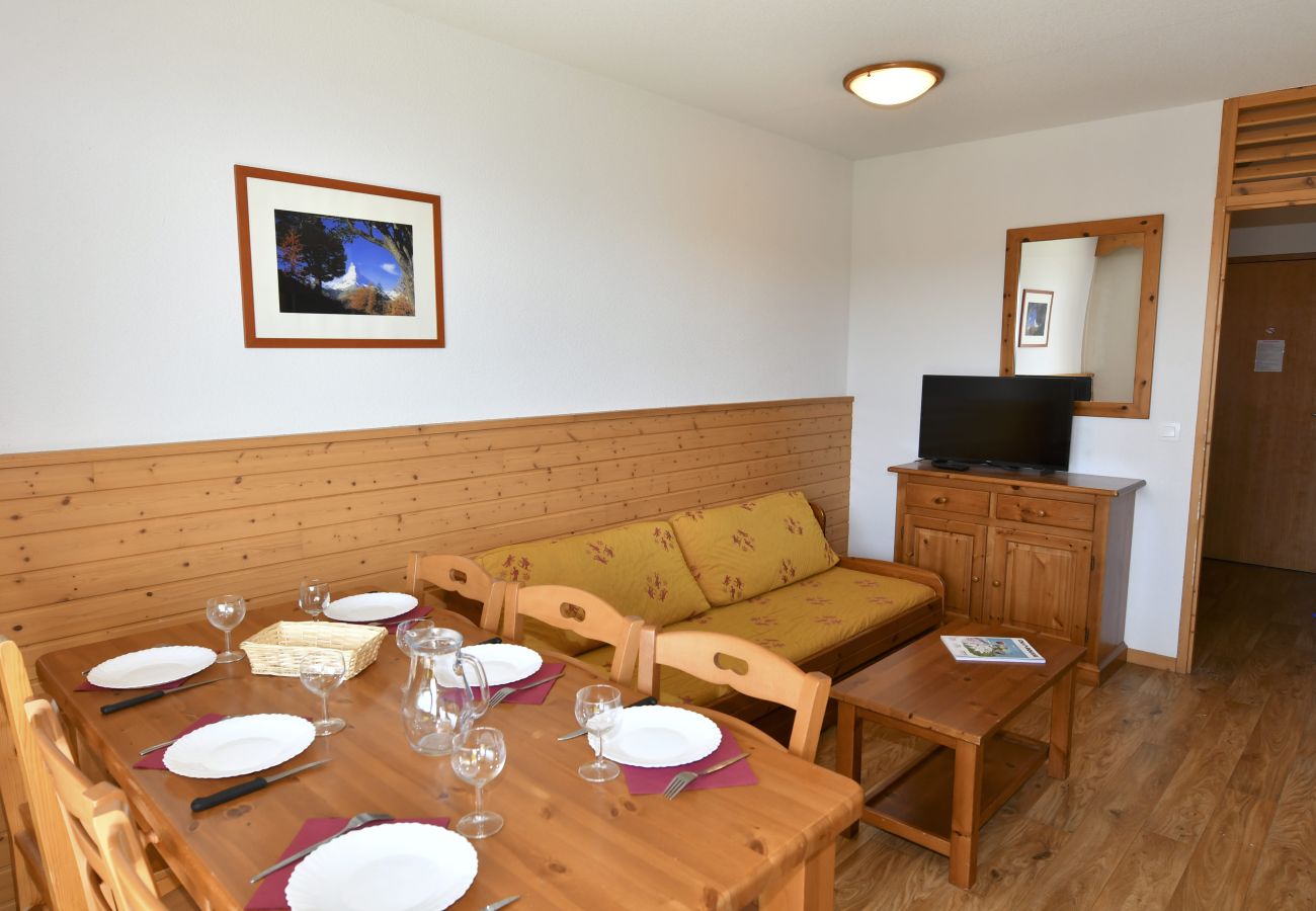 Chartreuse 1 036 Wohnzimmer einer Wohnung in Chamrousse, Frankreich