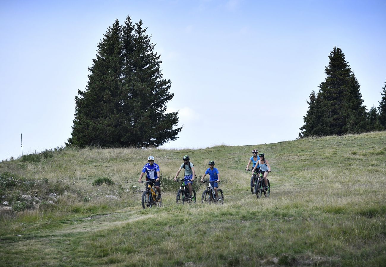 Ferienwohnung in Chamrousse - Chartreuse 1 039-FAMILLE & MONTAGNE appart. 6 pers