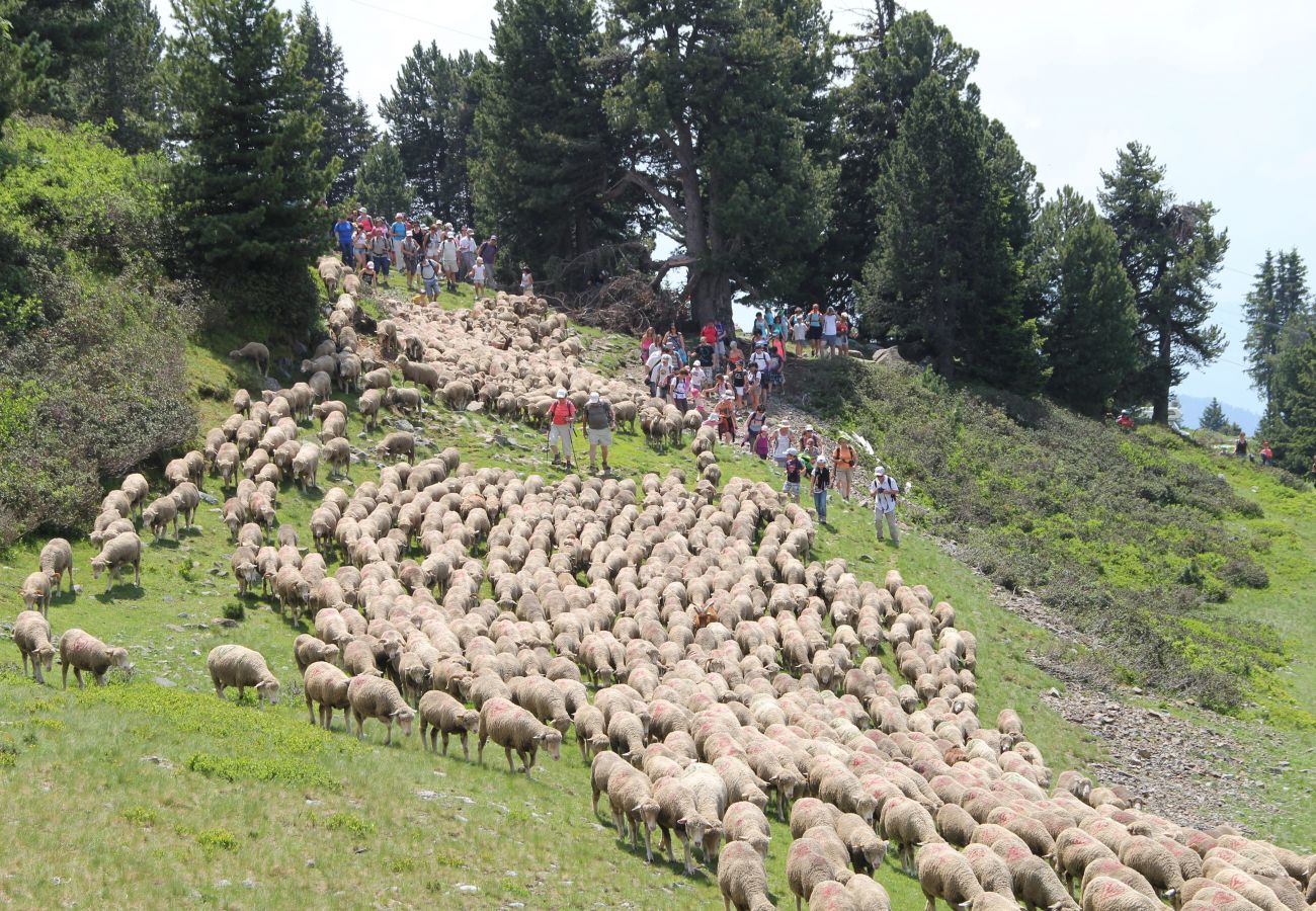 Ferienwohnung in Chamrousse - Vercors 1 035-FAMILLE & MONTAGNE appart. 6 pers