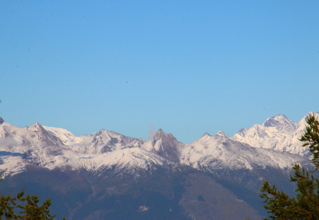 Aussichts