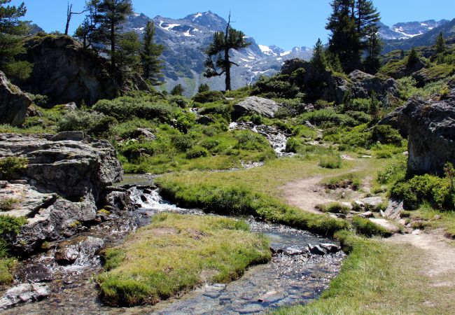 Chalet in Haute-Nendaz - Natasha - EXCEPTIONAL & LUXE chalet 12 pers Chalet in Haute-Nendaz - Natasha - EXCEPTIONAL & LUXE chalet 12 pers