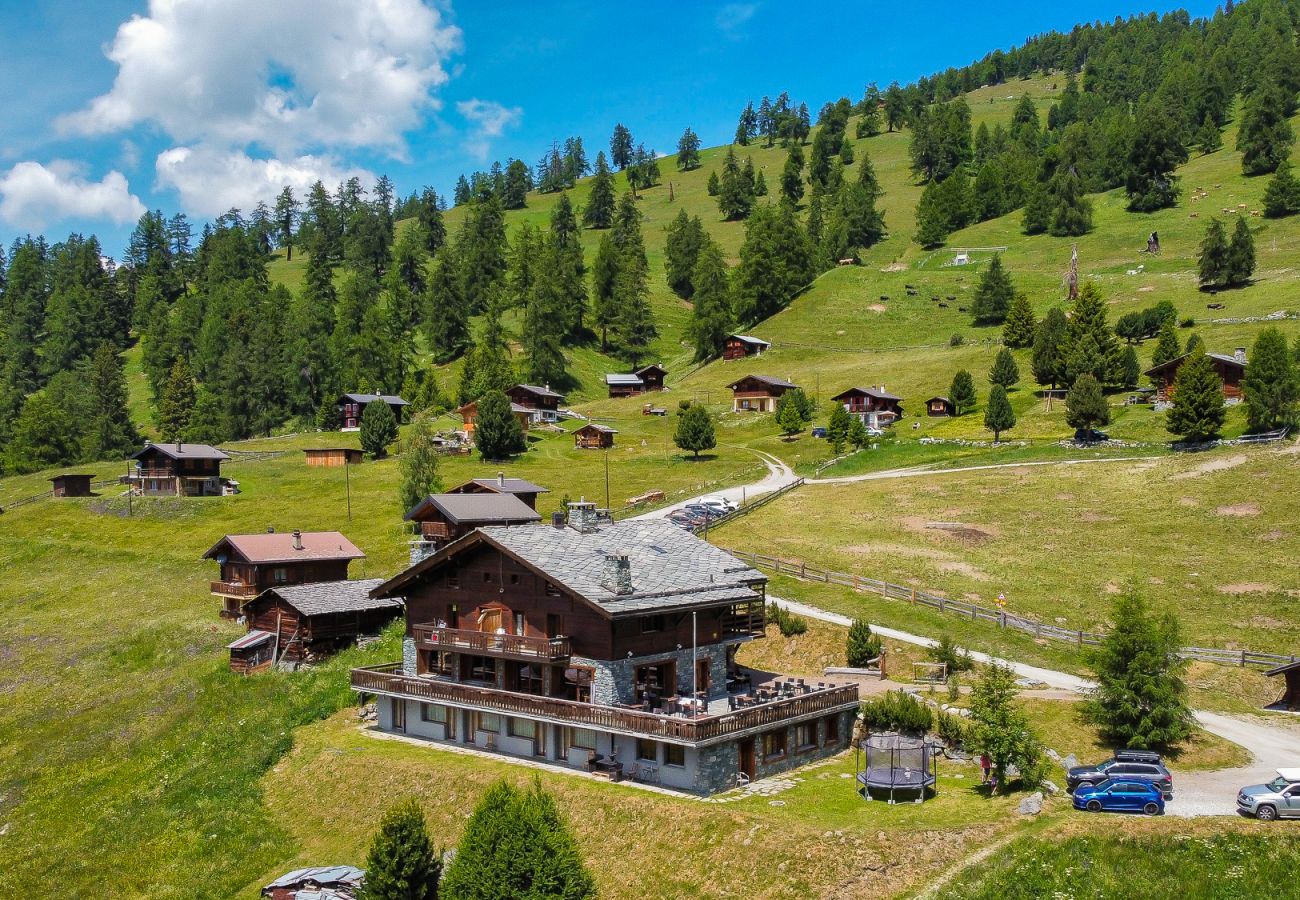 Ferienwohnung in Haute-Nendaz - Des Alpes (004) - ON THE SLOPES apartment 16 pers