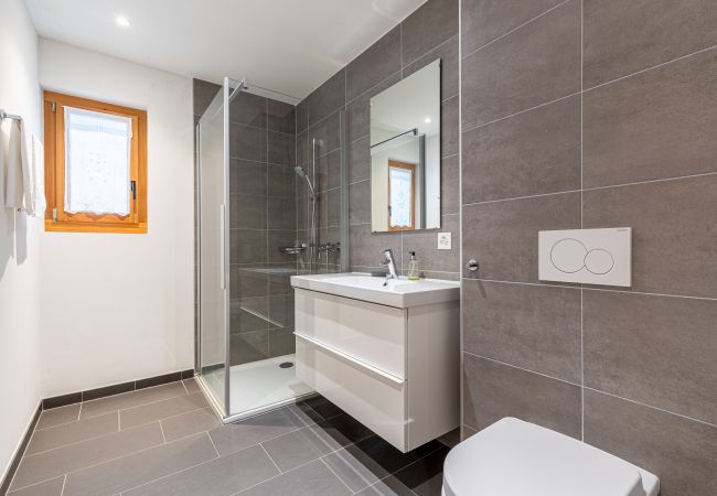 Chalet in Les Masses - Croix Noires FABULOUS & LUXURY chalet 11 pers Chalet in Les Masses - Croix Noires FABULOUS & LUXURY chalet 11 pers