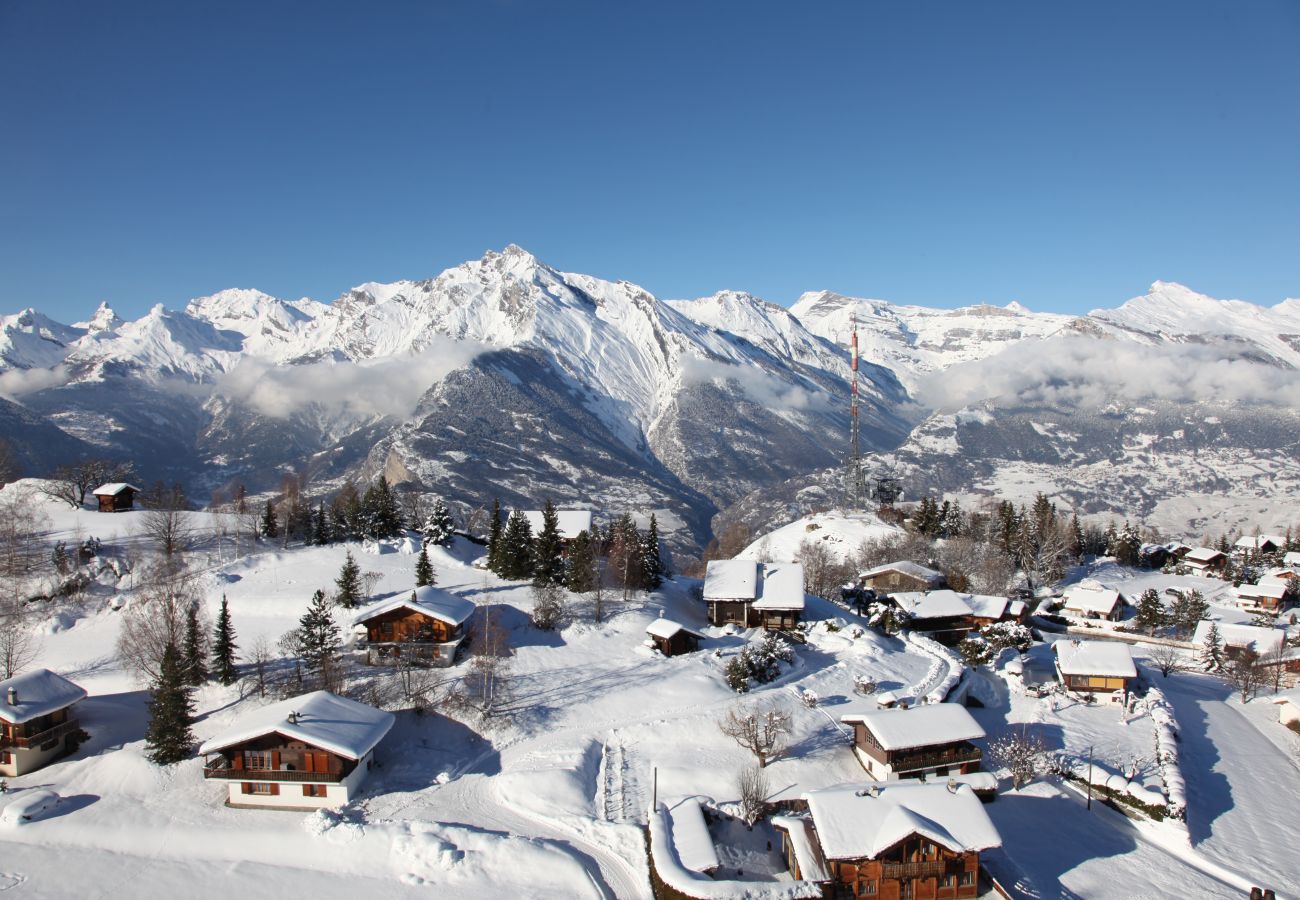 Ferienwohnung in Haute-Nendaz - Des Alpes (001) - ON THE SLOPES apartment 6 pers