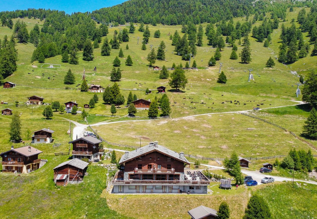 Ferienwohnung in Haute-Nendaz - Des Alpes (003) - ON THE SLOPES apartment 10 pers