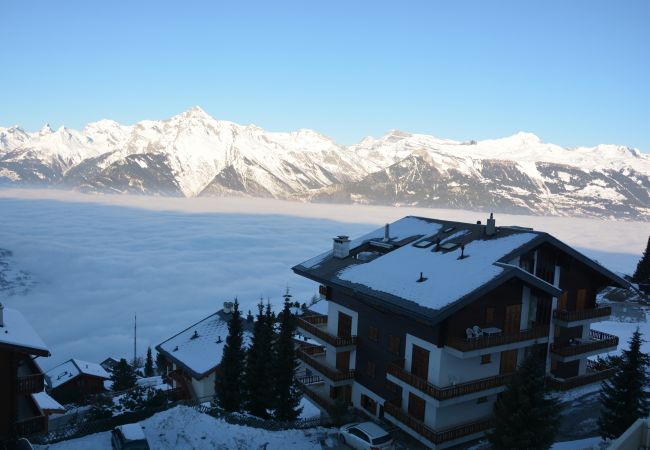 Ferienwohnung in Veysonnaz - Greppons P 023 - MOUNTAIN apartment 8 pers Ferienwohnung in Veysonnaz - Greppons P 023 - MOUNTAIN apartment 8 pers