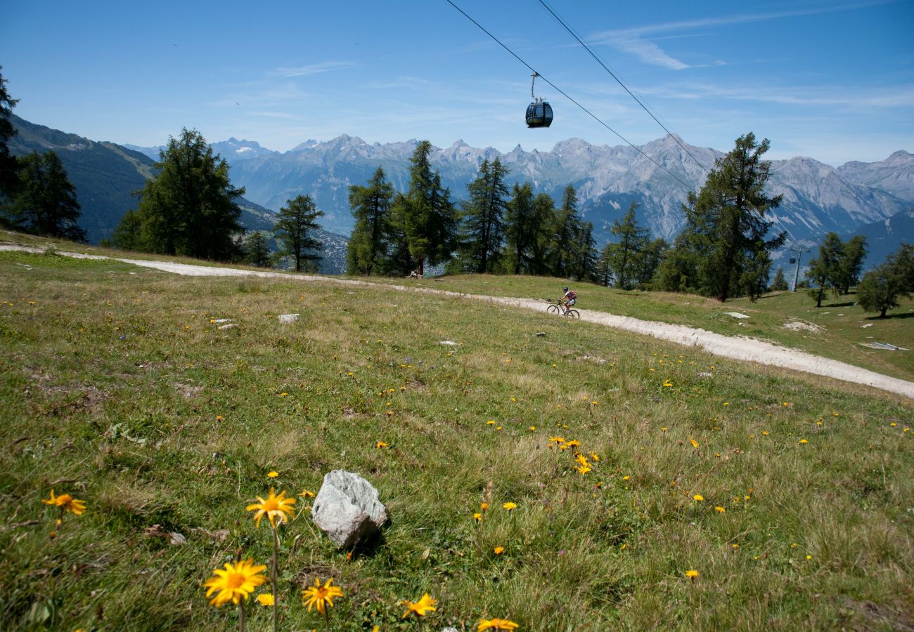 Ferienwohnung in Veysonnaz - Diablerets D 010 -MOUNTAIN apartment 6 pers