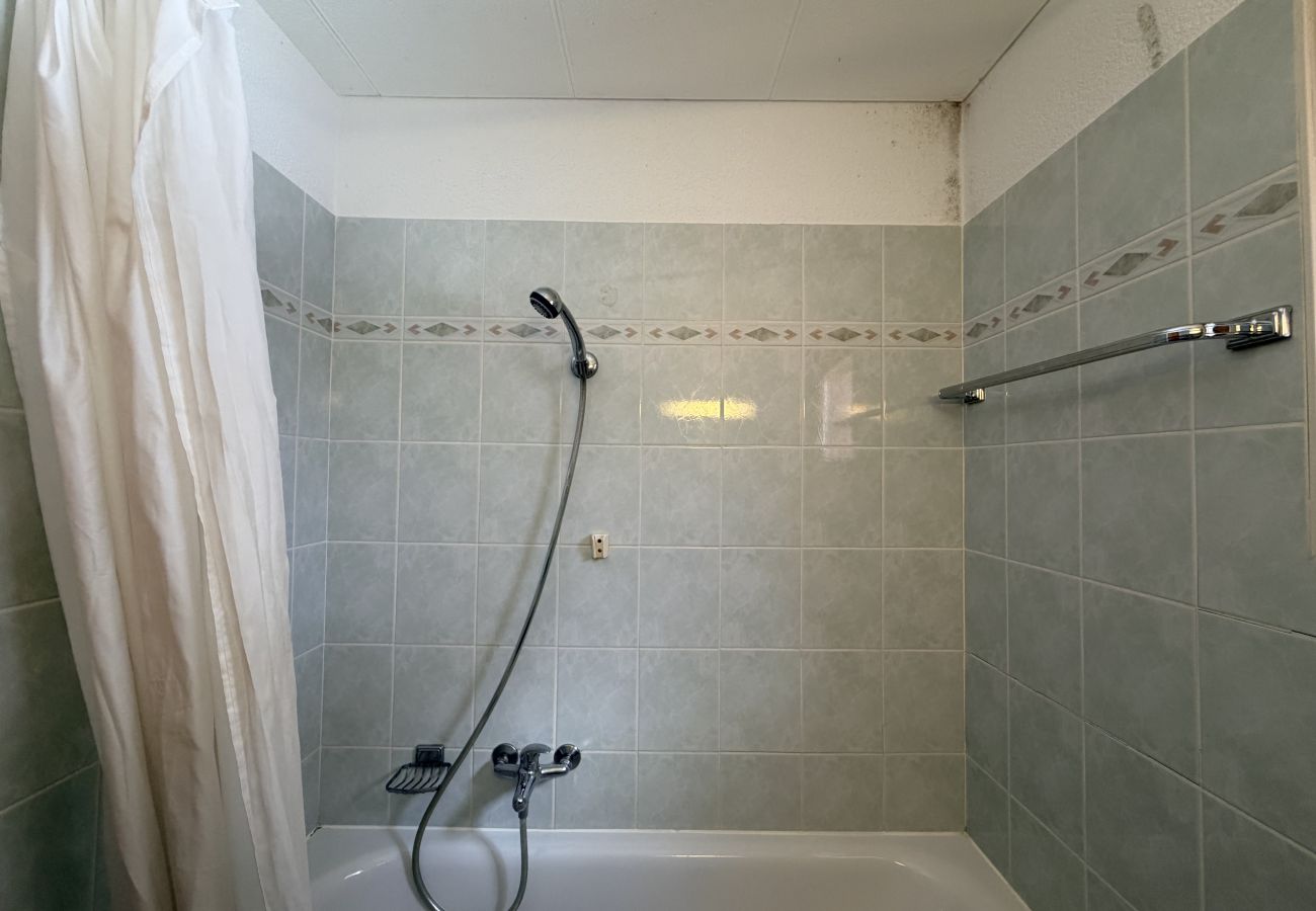 Chalet in Salins - Fontannets 001 COSY & MOUNTAIN chalet 10 pers