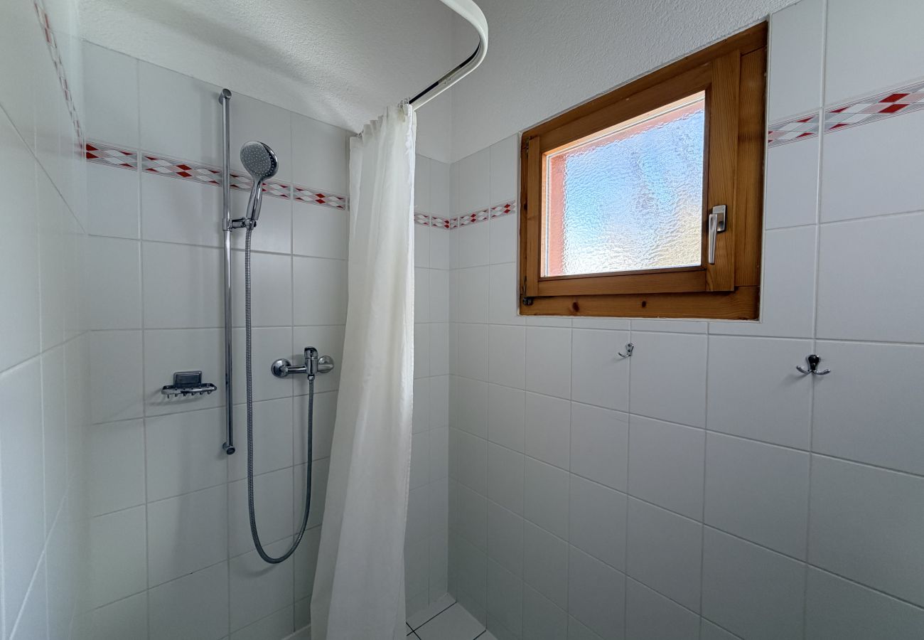 Chalet in Salins - Fontannets 001 COSY & MOUNTAIN chalet 10 pers