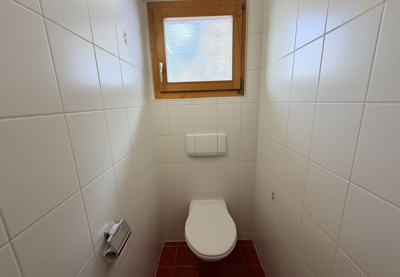 Chalet in Salins - Fontannets 001 COSY & MOUNTAIN chalet 10 pers