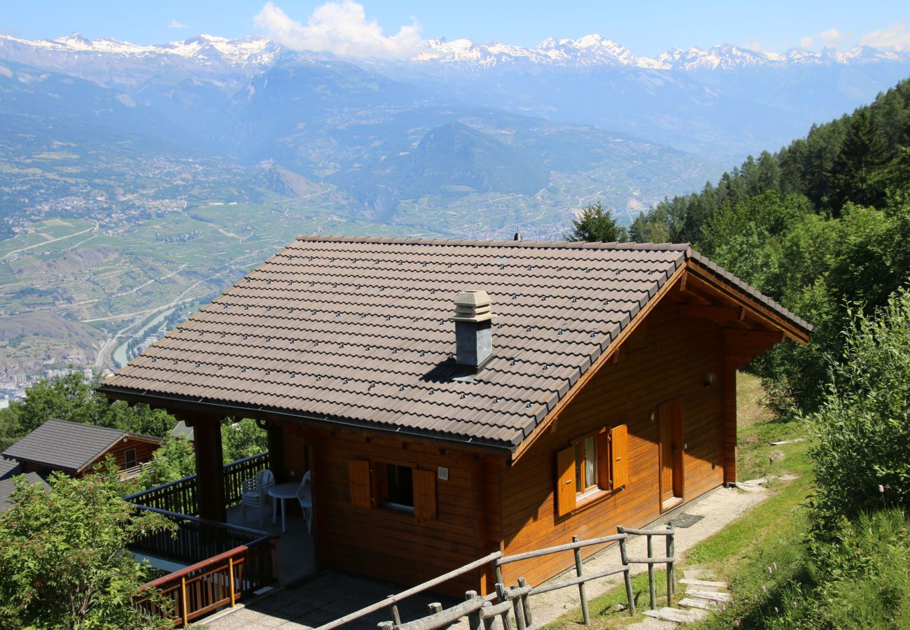 Chalet in Salins - Fontannets 004 COSY & MOUNTAIN chalet 10 pers