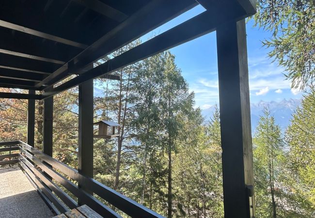 Chalet in Veysonnaz - Cache-Cache MOUNTAIN & QUIET chalet 10 pers