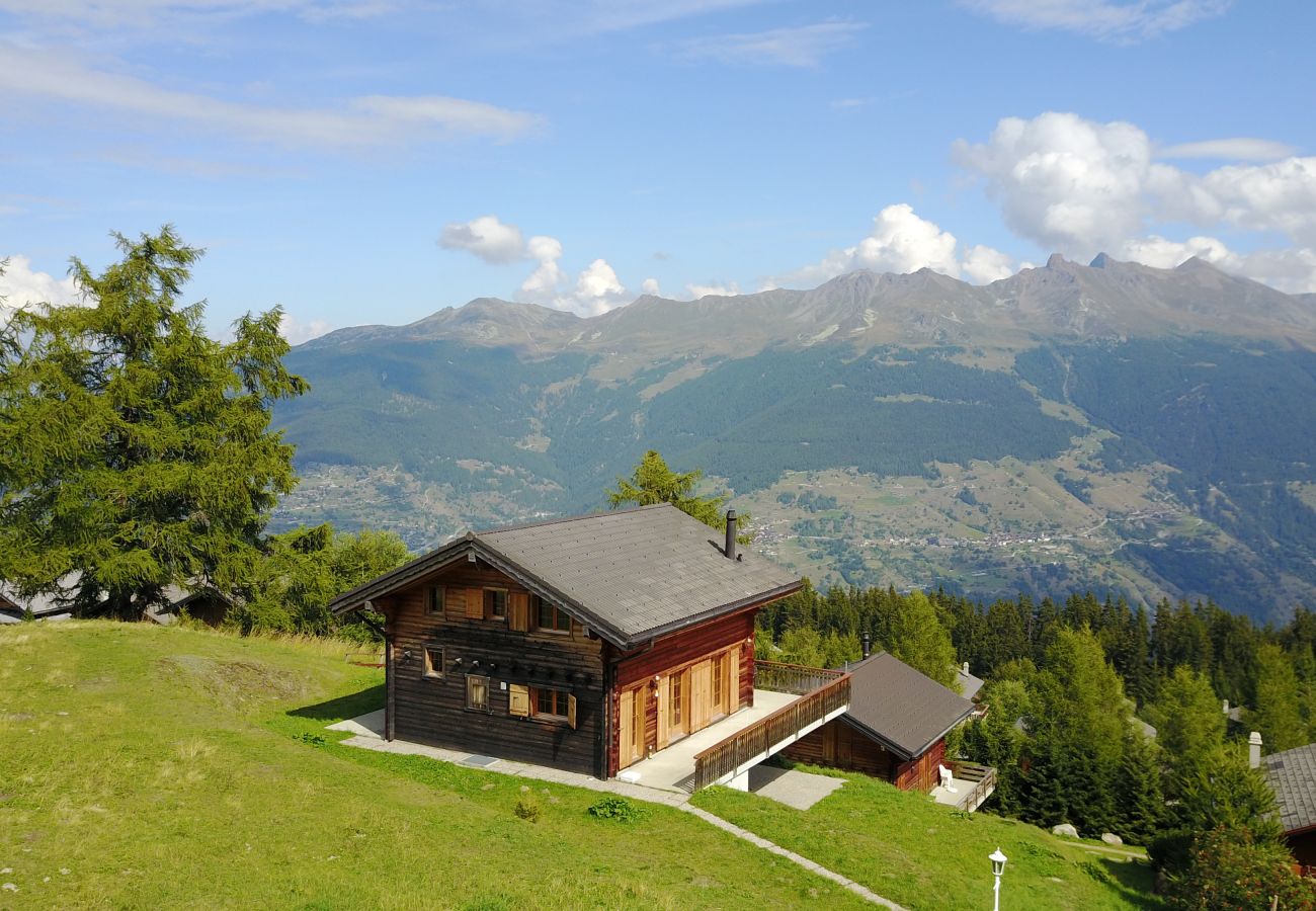 Chalet in Thyon-Les Collons - Narnia SKI IN & SKI OUT chalet 14 pers