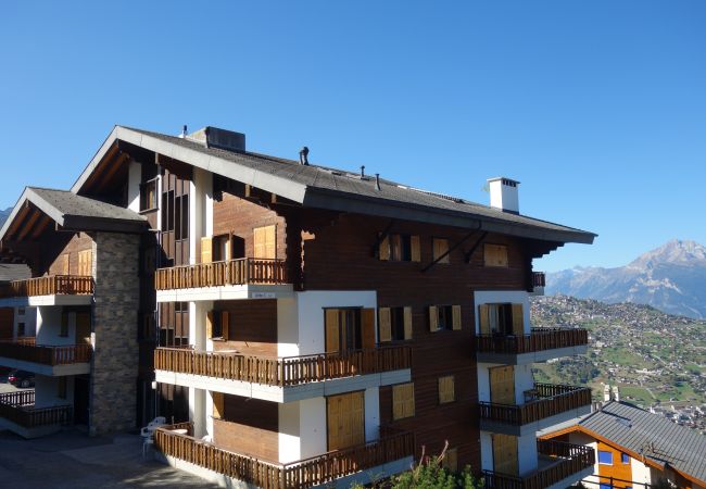 Ferienwohnung in Veysonnaz - Crêtes X1 010 - SUNNY apartment 8 pers Ferienwohnung in Veysonnaz - Crêtes X1 010 - SUNNY apartment 8 pers