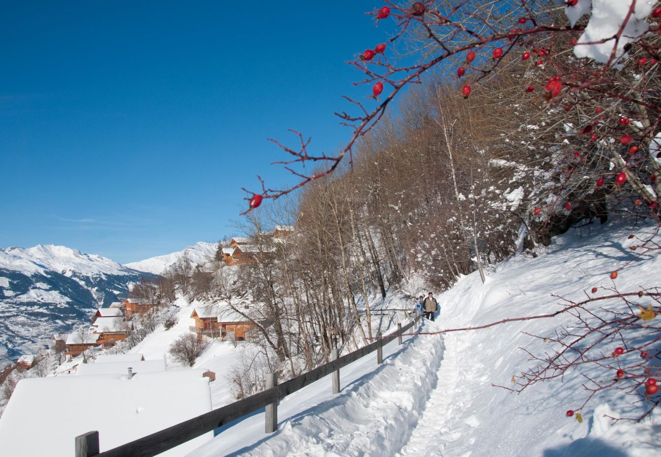 Ferienwohnung in Veysonnaz - Plein Ciel VA 030 - MOUNTAIN apartment 8 pers