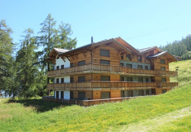 Ferienwohnung in Veysonnaz - Les Mayens MA 011 -  LUXURY apartment 6 pers Ferienwohnung in Veysonnaz - Les Mayens MA 011 -  LUXURY apartment 6 pers