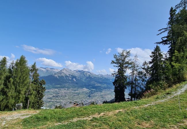 Ferienwohnung in Veysonnaz - Ski-in Ski-out - Les Mayens MA 022 -  LUXURY apart Ferienwohnung in Veysonnaz - Ski-in Ski-out - Les Mayens MA 022 -  LUXURY apart