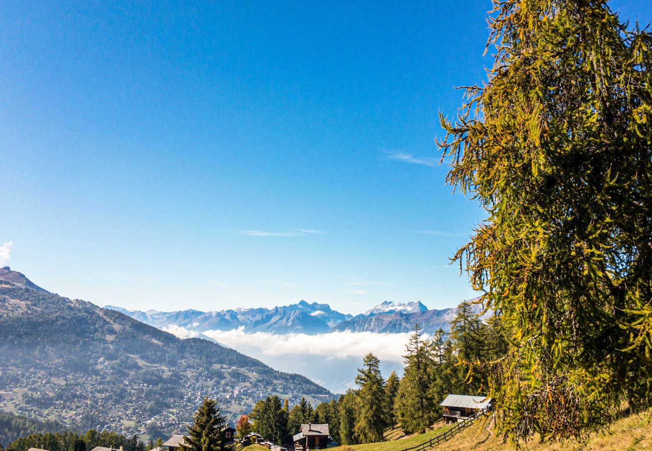 Ferienwohnung in Haute-Nendaz - Pracondu 1 002 - OUTDOOR & FUN  charming apartment