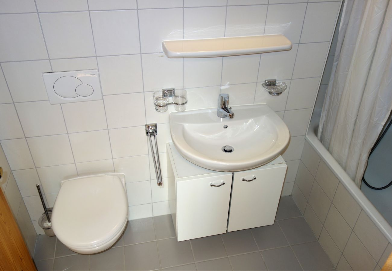 Ferienwohnung in Haute-Nendaz - Pracondu 1 002 - OUTDOOR & FUN  charming apartment