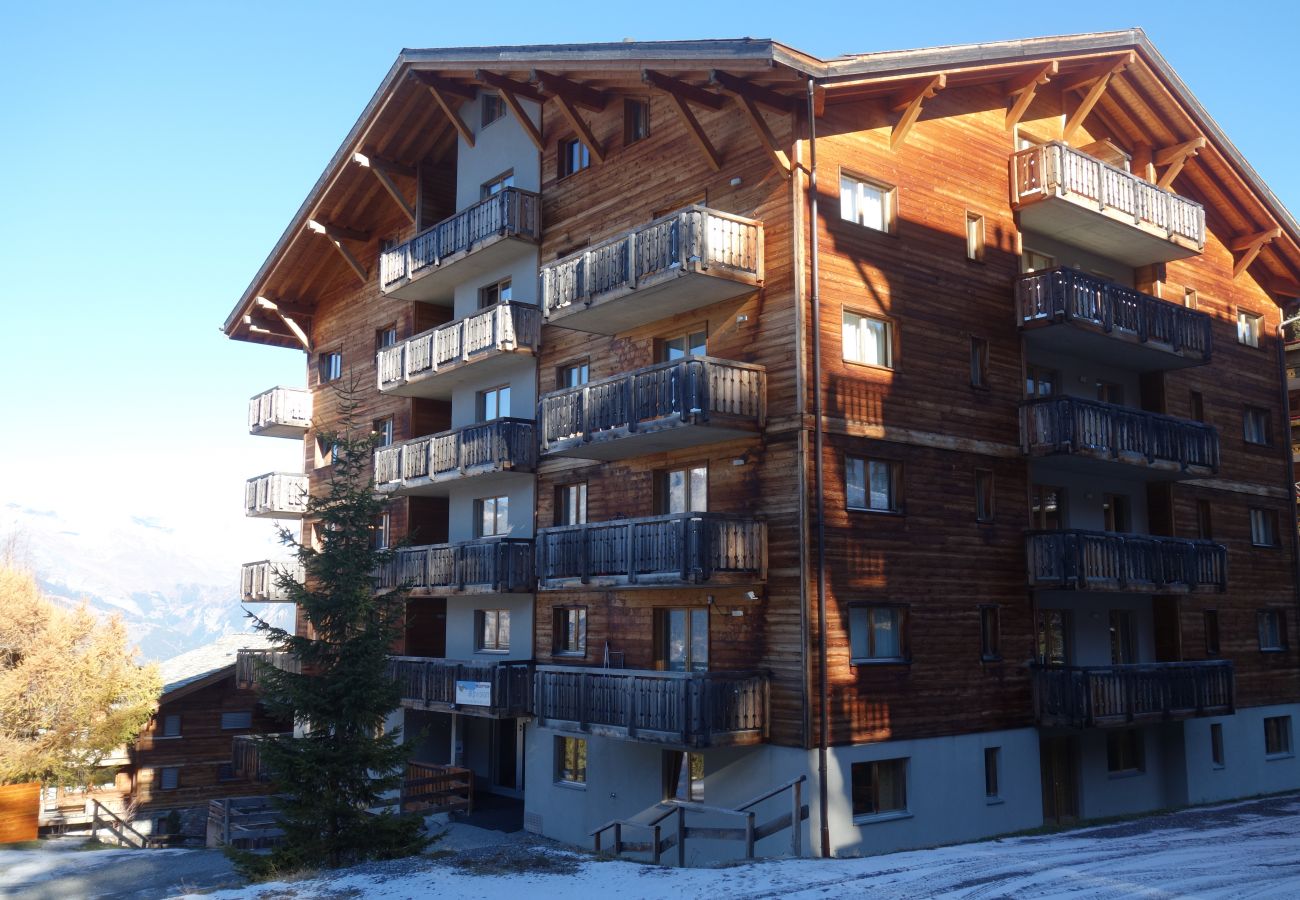 Ferienwohnung in Haute-Nendaz - Pracondu 2 502 - OUTDOOR & FUN  charming apartment