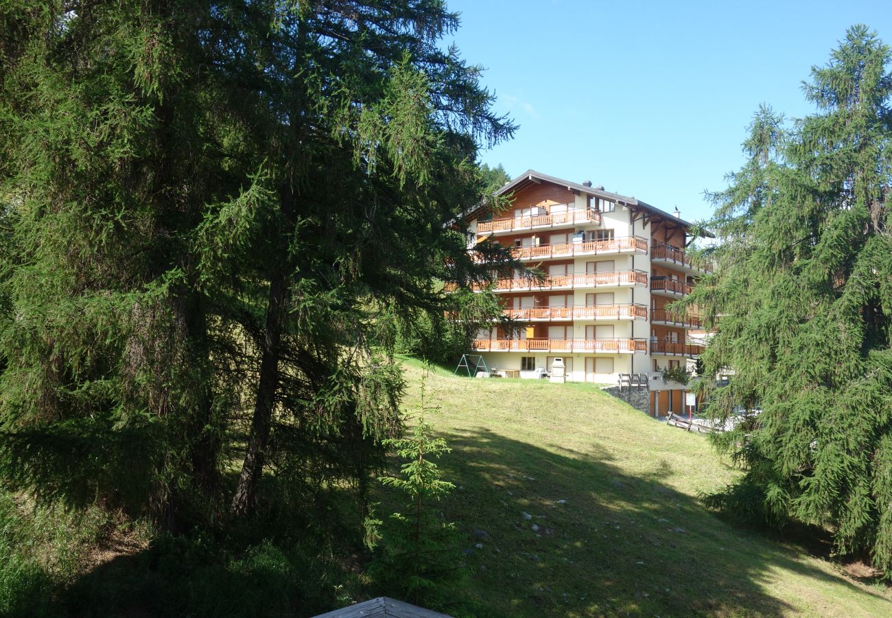 Ferienwohnung in Haute-Nendaz - Pracondu 2 301 - OUTDOOR & FUN  charming apartment