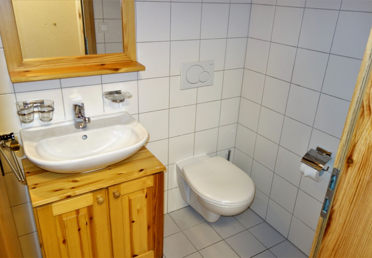 Ferienwohnung in Haute-Nendaz - Pracondu 2 303 - OUTDOOR & FUN  charming apartment