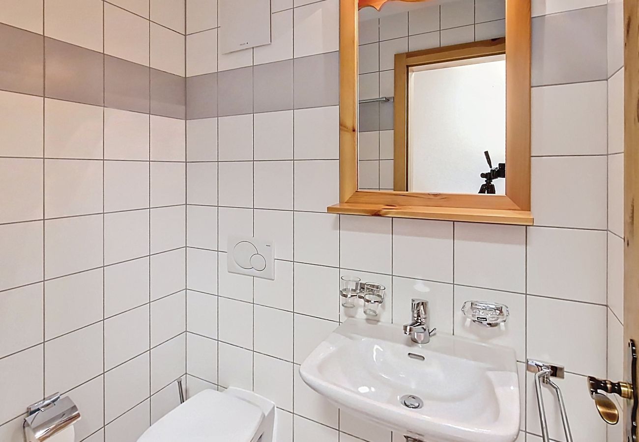 Ferienwohnung in Haute-Nendaz - Pracondu 2 303 - OUTDOOR & FUN  charming apartment