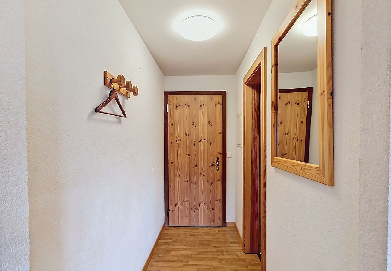 Ferienwohnung in Haute-Nendaz - Pracondu 2 303 - OUTDOOR & FUN  charming apartment