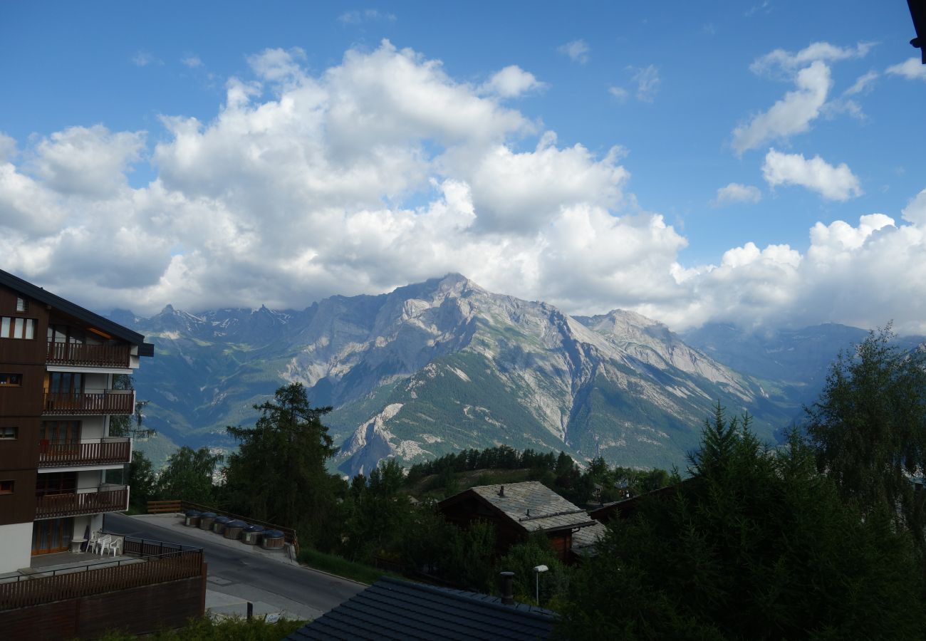 Ferienwohnung in Haute-Nendaz - Pracondu 1 303 - OUTDOOR & FUN  charming apartment