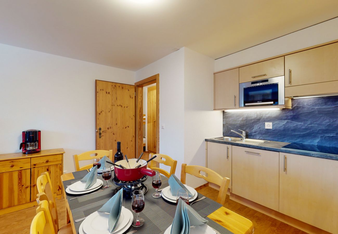 Ferienwohnung in Haute-Nendaz - Pracondu 1 403 - OUTDOOR & FUN  charming apartment