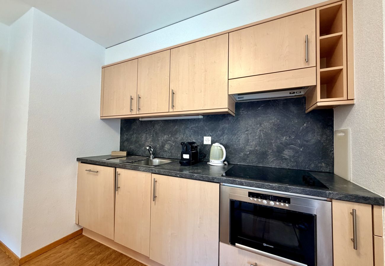 Ferienwohnung in Haute-Nendaz - Pracondu 1 307 - OUTDOOR & FUN  charming apartment