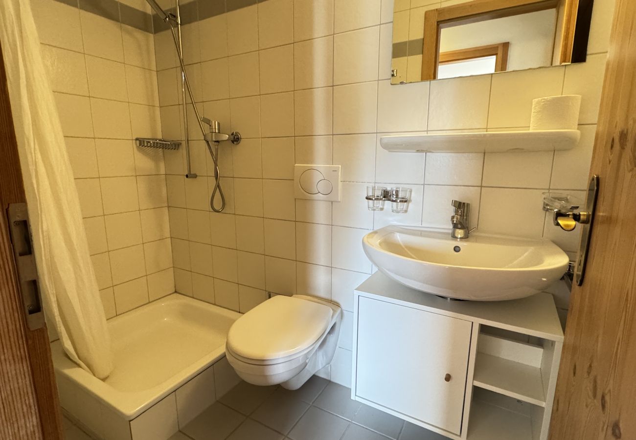 Ferienwohnung in Haute-Nendaz - Pracondu 1 405 - OUTDOOR & FUN  apartment 6 pers