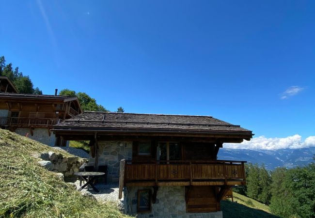 Chalet in Les Masses - Bishorn COSY chalet 4 personnes Chalet in Les Masses - Bishorn COSY chalet 4 personnes