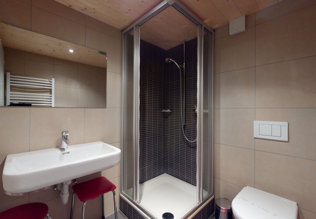 Chalet in Les Mayens-de-Sion - Les Chanterelles COSY & QUIET chalet 12 pers