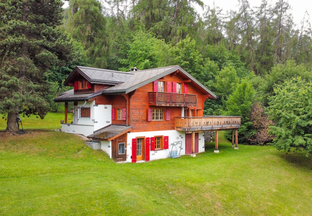 Chalet in Les Mayens-de-Sion - Les Chanterelles COSY & QUIET chalet 12 pers