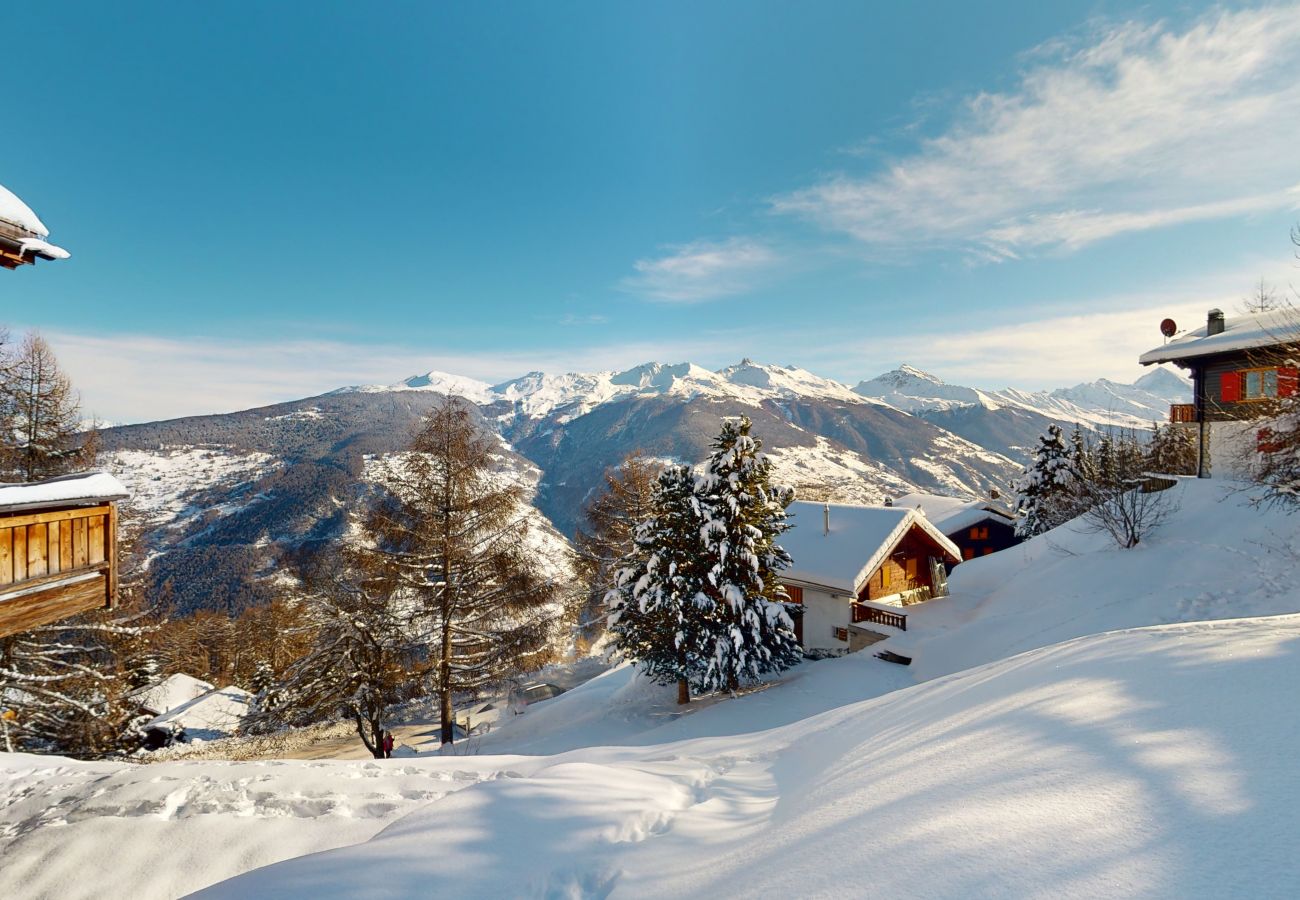 Chalet in Vex - Ecureuil noir COSY & QUIET chalet 10 personnes