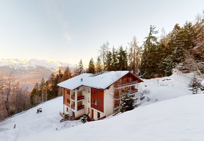Chalet in Les Agettes - Chalet de l'Ours AUTHENTIC & NATURE 66 pers, Chalet in Les Agettes - Chalet de l'Ours AUTHENTIC & NATURE 66 pers,