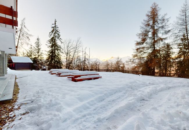 Chalet in Les Agettes - Chalet de l'Ours AUTHENTIC & NATURE 66 pers, Chalet in Les Agettes - Chalet de l'Ours AUTHENTIC & NATURE 66 pers,