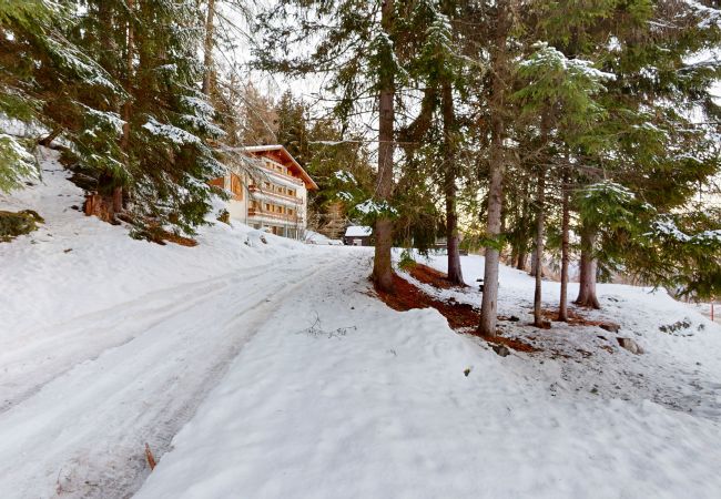 Chalet in Les Agettes - Chalet de l'Ours AUTHENTIC & NATURE 66 pers, Chalet in Les Agettes - Chalet de l'Ours AUTHENTIC & NATURE 66 pers,