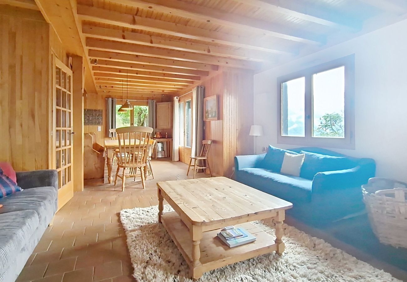 Chalet in Châtel - CHALET AVORAZ AVR NATURE  & VIEW 12 Pers.