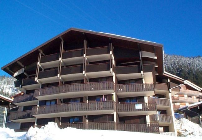 Ferienwohnung in Châtel - Corina CN43 QUIET & MOUNTAIN 4 Pers. Ferienwohnung in Châtel - Corina CN43 QUIET & MOUNTAIN 4 Pers.